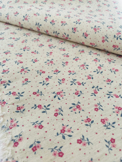 A06 - Tela Lino Algodón ESTAMPADO (50x150)